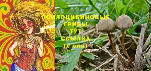 СК Абаза