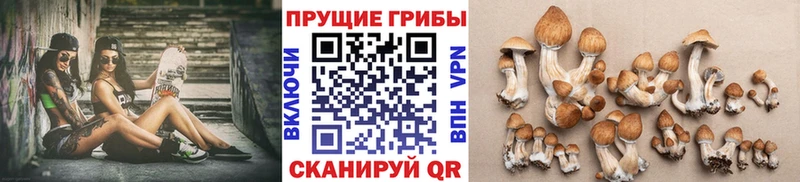 купить  цена  Владимир  Галлюциногенные грибы мухоморы 