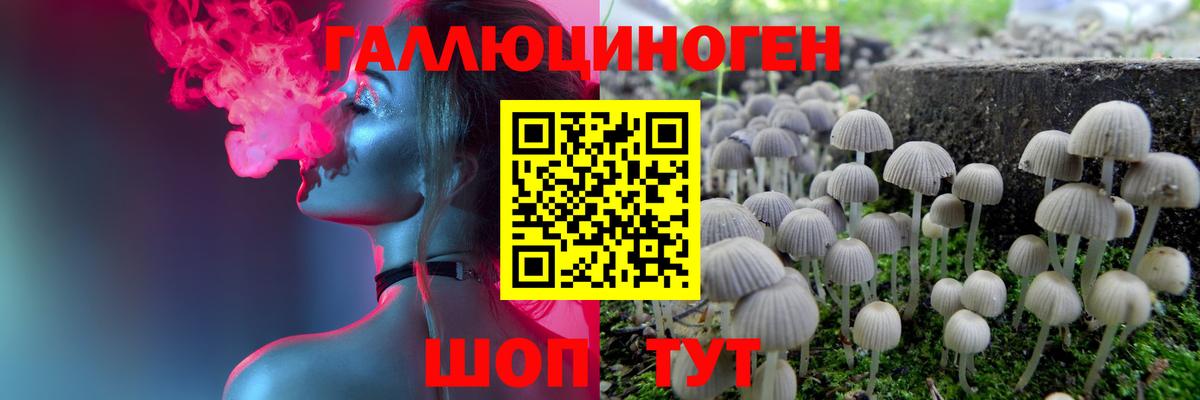 Владимир  Псилоцибиновые грибы MAGIC MUSHROOMS  сколько стоит  Псилоцибиновые грибы мухоморы  Вход с VPN 